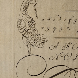 May include: A black ink illustration on off-white paper featuring a bird composed of intricate calligraphic swirls and loops. The artwork includes partial cursive text and lowercase alphabet letters a through g and x through z in script.