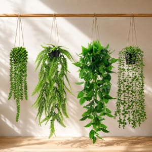 May include: Four artificial hanging plants in black pots suspended from a wooden rod. The plants include a string of pearls, a fern, a broad-leafed vine, and a trailing succulent, all featuring vibrant green foliage and thin brown hanging cords.