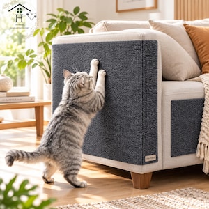 Könnte beinhalten: Ein dunkelgraues, rechteckiges, strukturiertes Kratzpad für Katzen, das an der Seite eines hellbeigen Sofas befestigt ist. Das Pad hat ein kleines, rechteckiges Etikett mit dem Text Hevolia. Eine graue getigerte Katze steht auf den Hinterbeinen.