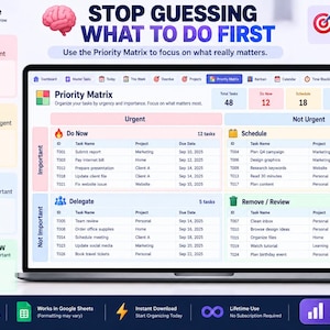 May include: A digital display of a Priority Matrix spreadsheet on a laptop screen. The interface features four quadrants labeled Do Now, Schedule, Delegate, and Remove/Review, with columns for Task Name, Project, and Due Date, plus summary statistics.