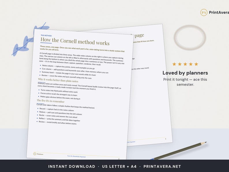 Cornell Notes Template | Lined, Dotted, Blank Layouts (PDF Download) image 5