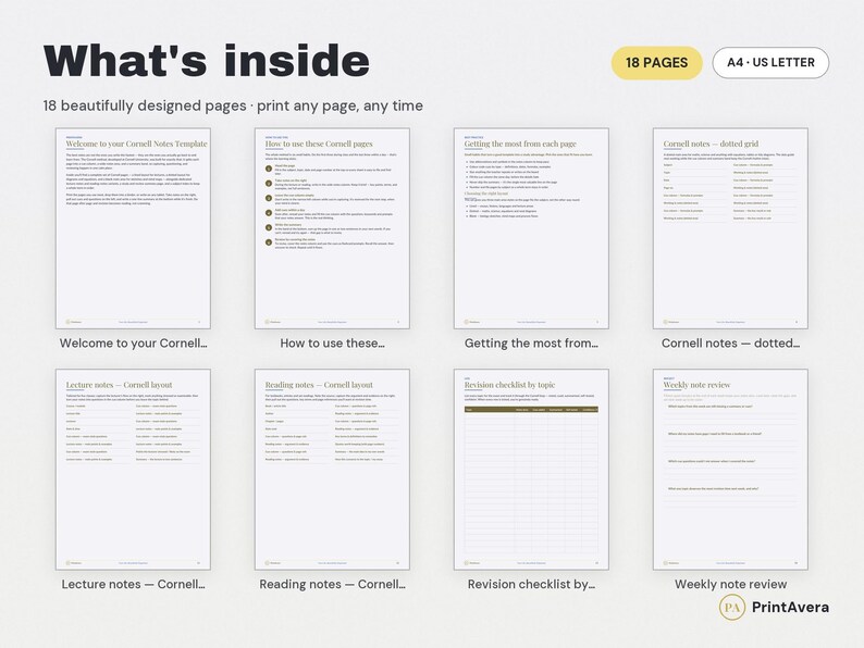 Cornell Notes Template | Lined, Dotted, Blank Layouts (PDF Download) image 2