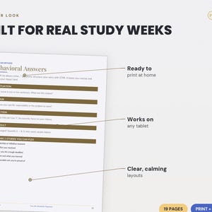 Job Application Tracker Spreadsheet | Interview, Career Planner (Digital Download) image 3