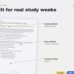 Cornell Notes Template | Lined, Dotted, Blank Layouts (PDF Download) image 3