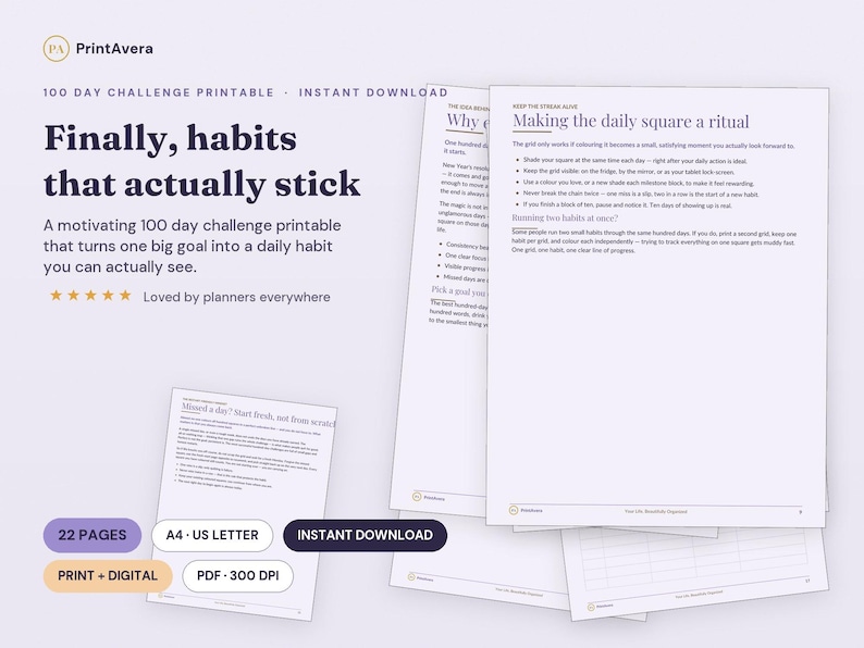 100 Day Challenge Tracker | Habit Goal Setting Printable (PDF Download) image 1