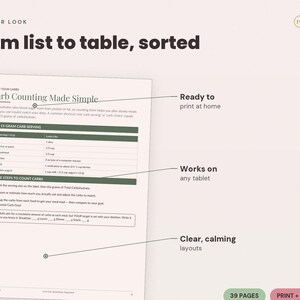 Diabetic Meal Planner Printable | Weekly Carb Counting PDF (A4 US Letter) image 2