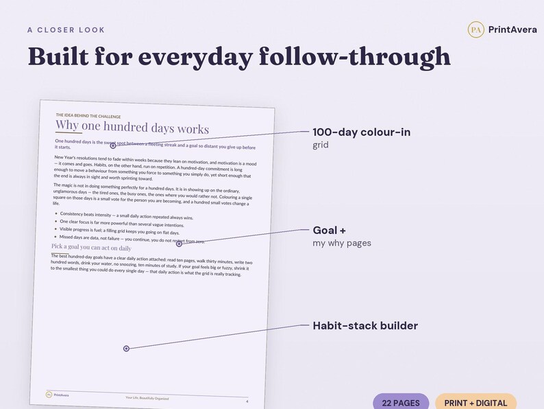 100 Day Challenge Tracker | Habit Goal Setting Printable (PDF Download) image 3