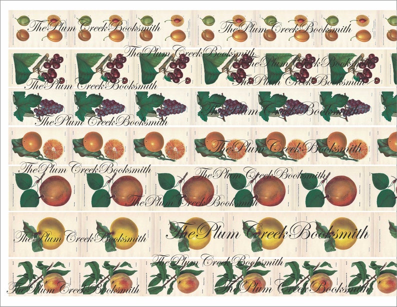 May include: A repeating pattern of various fruits and the text "The Plum Creek Booksmith" in a vintage style. The fruits include plums, grapes, oranges, and peaches.