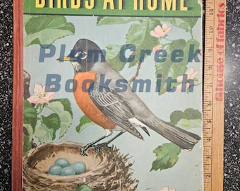 Birds at Home by Marguerite Henry, illustrated by Jacob Bates Abbott - 1942 - collectible - junk journal pages - collage art