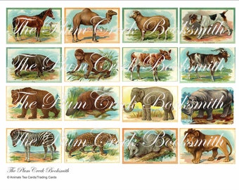 Animals Tea/Collector Cards - 16 cards - Ephemera instant digital download