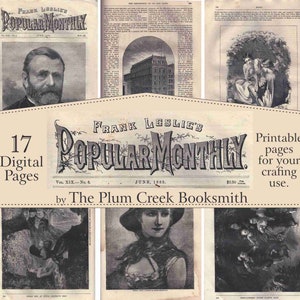 Vintage Anzeigen & Seiten aus einem 1885 Frank Leslie's Popular Monthly Magazine - 17 Junk-Journal-Seiten, Ephemera, sofortiger digitaler Download