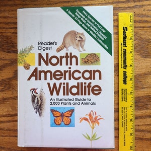 RD&#39;s North American Wildlife book with 2000 beautiful illustrations of plants and animals - collectible - junk journal pages - collage art