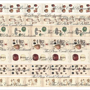 May include: A collection of vintage botanical illustrations featuring pears, apples, mushrooms, and insects. The illustrations are printed on a cream-colored background with the text "The Plum Creek Booksmith" repeated throughout.