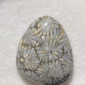 Könnte beinhalten: Ein polierter, dreieckiger Fossilkorallen-Cabochon mit einem komplexen, sternartigen Muster aus weißen und durchscheinenden grauen Blütenblättern, die von dunkelbraunen, erdigen Adern umrandet sind. Die Oberfläche ist glatt und glänzend und betont die organische Struktur.