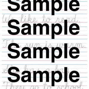 May include: A white practice sheet with blue and red horizontal lines for handwriting. The page features dotted cursive text including the sentences I have a dog, We like to read, The sun is warm, She has a hat, and They go to school.