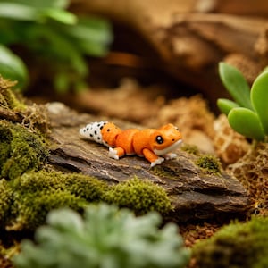 Könnte beinhalten: Eine kleine, bewegliche orangefarbene Echsenfigur mit weißem Bauch und einem weißen Schwanz mit schwarzen Punkten. Die Echse hat große, dunkle Augen und befindet sich auf einem strukturierten, dunkelbraunen Rindenstück mit sichtbarem Moos.