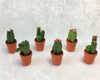 Cactus, cacti for the dollhouse, the dollhouse, dollhouse miniatures, cribs, miniatures, model making, collectors