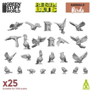 3D-Druckset - Wildlebende Vögel aus Harz für den Modellbau, Miniaturen, Puppenhaus, Puppenstube