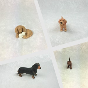 Dackel in Miniatur