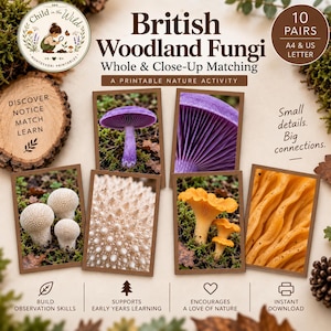 Könnte beinhalten: Eine druckbare Naturaktivität mit dem Titel British Woodland Fungi Whole & Close-Up Matching, die 10 Paare von Pilzfotografien enthält. Das Set zeigt violette, weiße und orangefarbene Pilze sowie Text zur Förderung der Beobachtungsgabe.