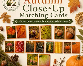 Herbstliche Nahaufnahmen – Zuordnungskarten | Aktivität für Kleinkinder im Vorschulalter | Montessori-Material zum Ausdrucken | Naturdetektiv-Karten