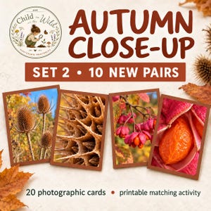 Może przedstawiać: Aktywność do druku zatytułowana Autumn Close-Up Set 2 10 New Pairs zawierająca 20 kart fotograficznych. Karty przedstawiają zdjęcia przyrody, w tym brązowe kolczaste główki nasion, różowe jagody oraz pomarańczowy strąk z brązową obwódką.