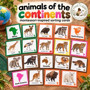 Peut inclure: Un ensemble de cartes de tri éducatives intitulées Animals of the Continents, présentant des illustrations colorées de divers animaux et cartes. Chaque carte affiche un nom d'animal ou de continent avec une image correspondante, organisée en grille.