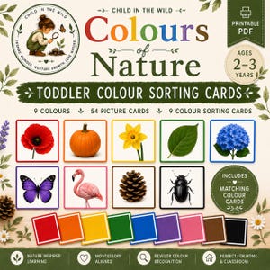Op de afbeelding: Een printbare PDF-set met kleursorteerkaarten voor peuters genaamd Colours of Nature. De set bevat 54 kaartjes met afbeeldingen van een rode klaproos, oranje pompoen, gele narcis, groen blad, blauwe hortensia, paarse vlinder, roze flamingo, bruine dennenappel en zwarte kever.