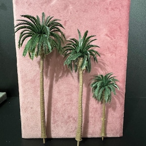 May include: Three miniature palm trees of varying heights, each featuring a textured tan trunk and a cluster of dark green, feathery fronds at the top. The trees are arranged in a row, with the tallest on the left and the shortest on the right.