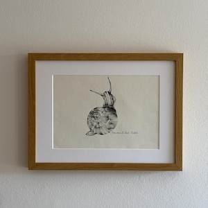 Op de afbeelding: Een ingelijste zwart-wit inkttekening van een slak op gebroken wit papier. De slak is in profiel afgebeeld met gedetailleerde texturen op het huisje. Het kunstwerk is rechtsonder gesigneerd en gedateerd 2016, in een lichtbruine houten lijst.