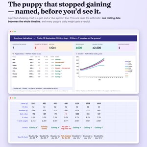 Puede incluir: Una plantilla de hoja de cálculo digital Dog Breeder & Whelping Record para Google Sheets y Excel. La interfaz muestra datos de seguimiento de peso de cachorros, gráficos de crecimiento y veredictos de salud, incluyendo columnas para la ganancia de peso diaria.