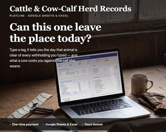 May include: A laptop displaying Cattle & Cow-Calf Herd Records for Google Sheets & Excel. The screen text asks, Can this one leave the place today? A notebook, pen, metal tool, mug, and leather gloves sit on a wooden desk near the laptop.