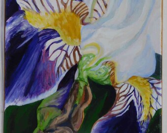 Purple Iris #2    12" x 12"  Flower Painting Acrylic on Stretched Canvas by Julie Miscera