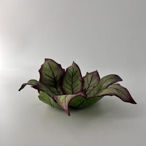 Può includere: Una ciotola decorativa a forma di grappolo di foglie. La ciotola presenta un centro verde vibrante con venature scure prominenti e bordi viola intenso che si curvano verso l'esterno, imitando l'aspetto naturale di una pianta con foglie appuntite.
