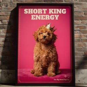Cavapoo Cockapoo Caniche Toy Imprimé Couronne Dorée Court King Energy