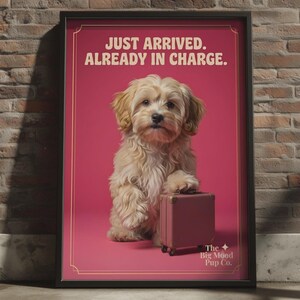 Cavapoo Cockapoo Maltipoo Estampado con Maleta Día Nacional del Cachorro