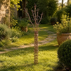 Peut inclure: Un tuteur de jardin en métal couleur rouille, composé d'une base cylindrique entourée de ficelle et d'une partie supérieure en forme de branches dénudées. La structure est formée de tiges métalliques verticales et d'anneaux horizontaux.