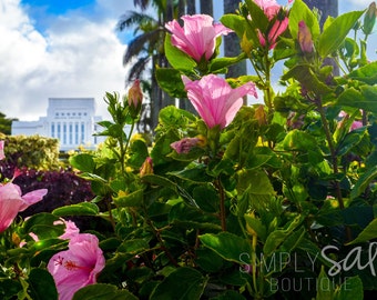 LDS Laie Temple Photograph - Hibiscus - Digital Download - Printable