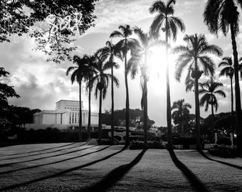 LDS Laie Temple Photograph - Palm Trees - Digital Download - Printable