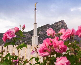 Provo LDS Temple Photograph - Spring Roses - Digital Download - Printable