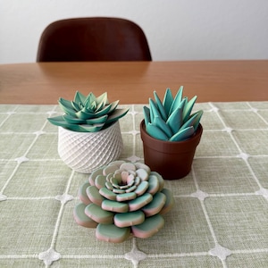 Può includere: Tre piante succulente artificiali. Una è in un vaso bianco testurizzato, una in un vaso marrone e una è una succulenta singola con foglie arrotondate e stratificate in tonalità di verde e rosa tenue, disposte a cerchio.