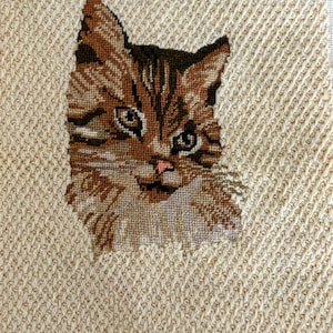 May include: A needlepoint image of a cat's face, featuring brown and tan hues. The cat's eyes are detailed with black and brown, and the nose is pink. The background is a beige, textured fabric.