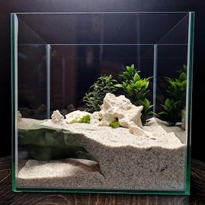 May include: A square glass aquarium tank featuring a light-colored sand substrate, several porous white rocks, and green aquatic plants. A dark green tunnel structure is partially buried within the sand, creating a cave-like opening.