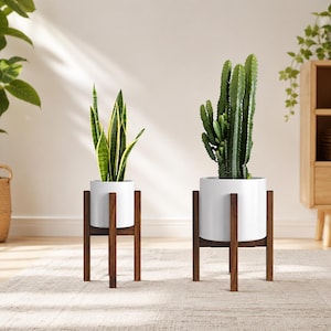May include: Two white cylindrical ceramic planters held by dark brown wooden stands. The left planter contains a snake plant with green and yellow leaves, while the right planter holds a tall, multi-stemmed green cactus plant.