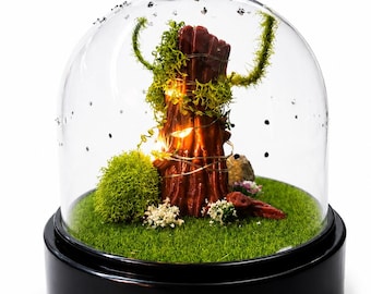 Mini-terrarium voor springspinnen | Betoverend terrarium met feeënlampjes