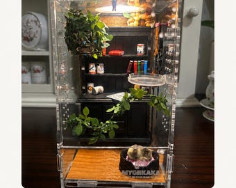 Individuelles springende Spinnengehege | Personalisierte Spinne Lebensraum | Handmade Terrarium | Wähle Dein eigenes Theme