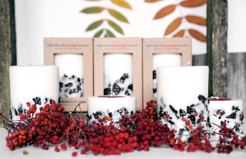 Genuine Icelandic Soy Wax Candle. Rowan berries and 2000 years image 2