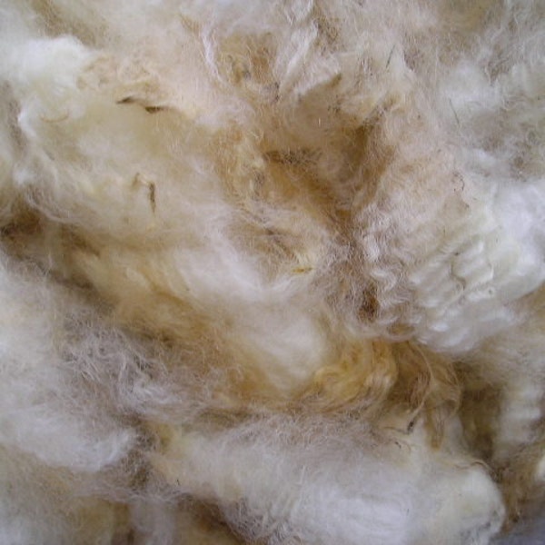 Border Leicester Raw Fleece - White