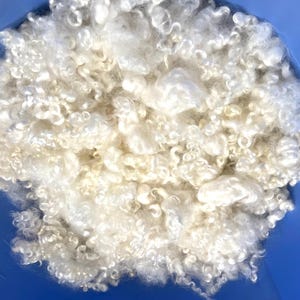 2oz Curly White Locks