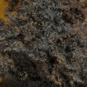 2oz Curly Locks Wensleydale and Border Leicester gray brown black
